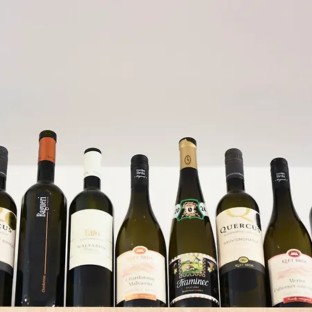 Beer & Wine House דירה לובליאנה